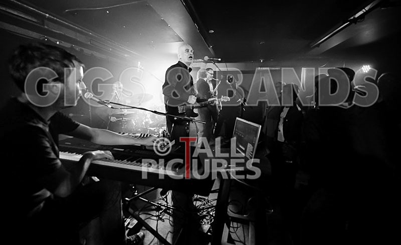 Norman Watt-Roy Band-81 - THE NORMAN WATT-ROY BAND with WILKO JOHNSON
