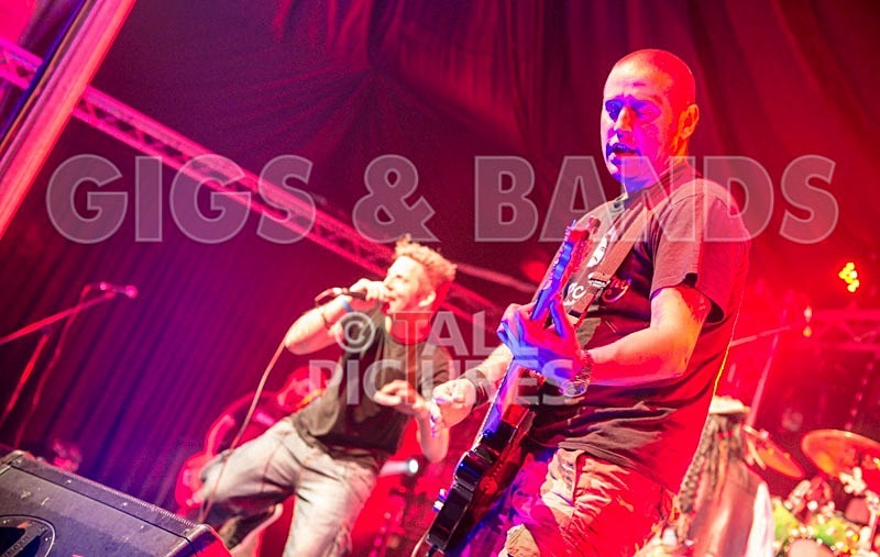 Chaos 2013_Spunge-77 - [spunge]