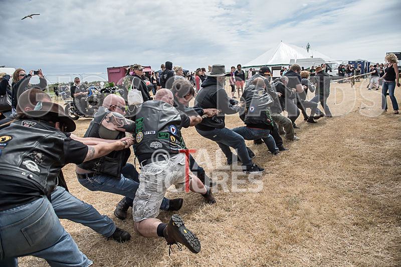 Tug of War_2015-18 - TRIKE, CHILLI & TUG OF WAR