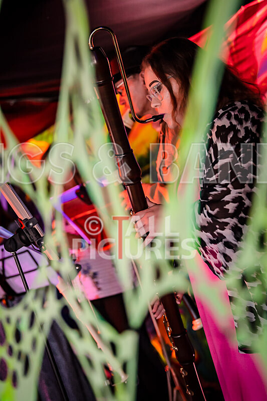 Ad Hoc Recorders-5 - AD HOC RECORDERS