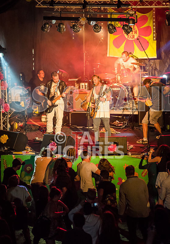 Near Bliss-65 - NEAR BLISS