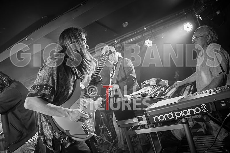 Alfie Bartons 25th Anniversary Gig-150 - ALFIE BARTON'S 25th ANNIVERSARY SPECIAL