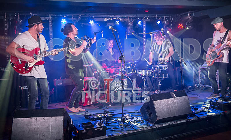 Tropical Zombie-32 - TROPICAL ZOMBIE