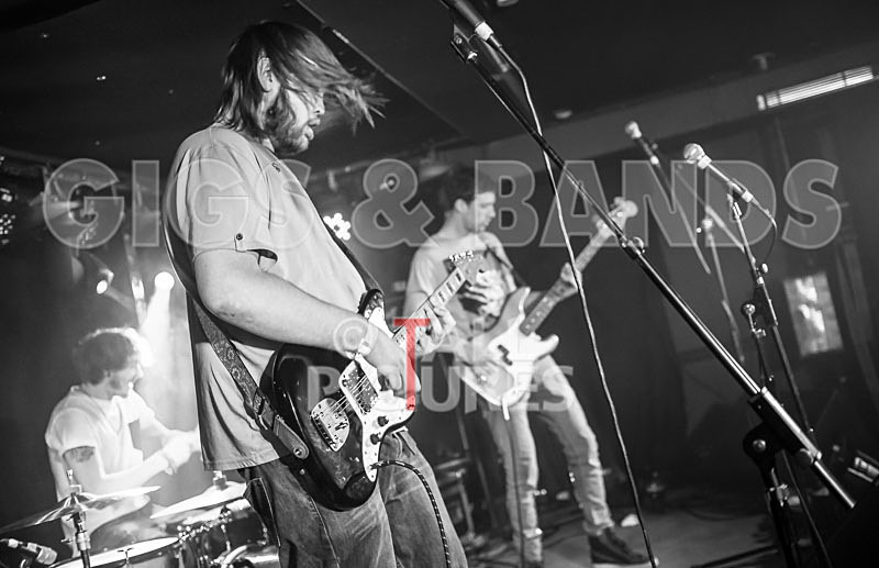 To the Woods-81 - TO THE WOODS