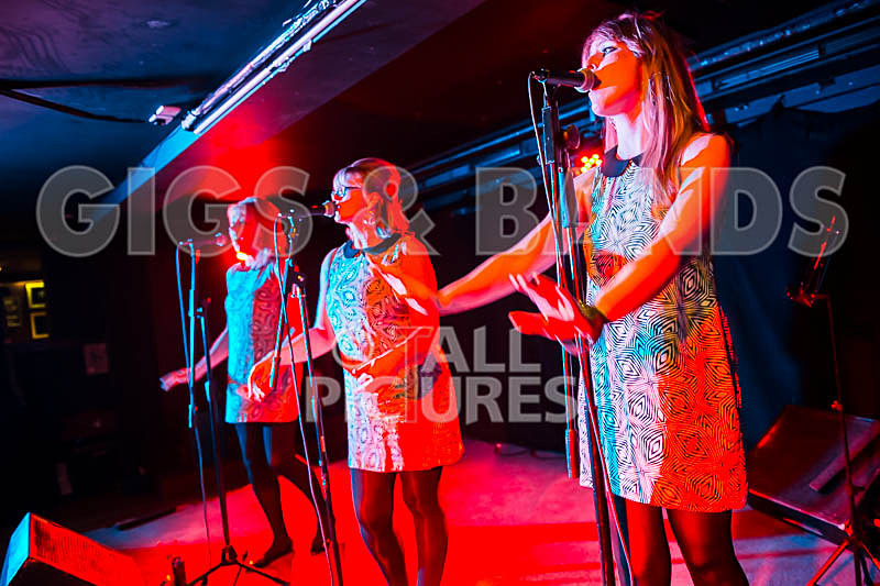 The Blondettes-9 - THE BLONDETTES