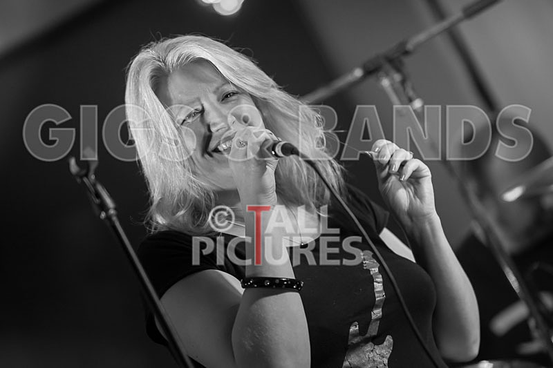 Underdog-55 - UNDERDOG