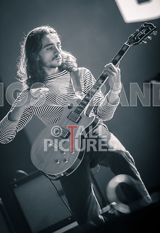 Blossoms-29 - BLOSSOMS