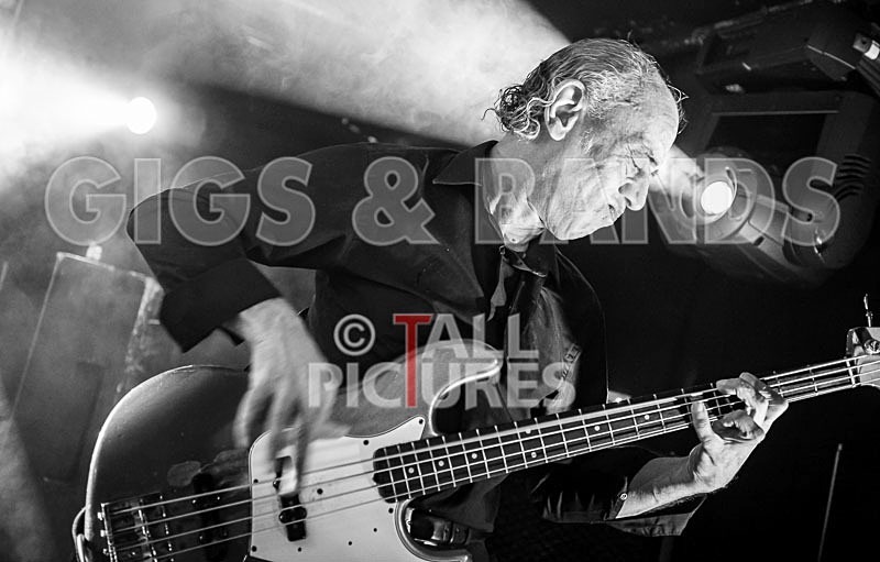 Wilko Johnson Farewell Tour-15 - THE WILKO JOHNSON BAND