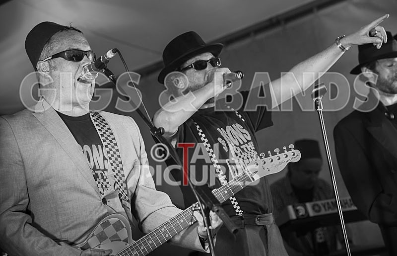 Sons of the Desert_Lib Day_2012-8 - SONS OF THE DESERT