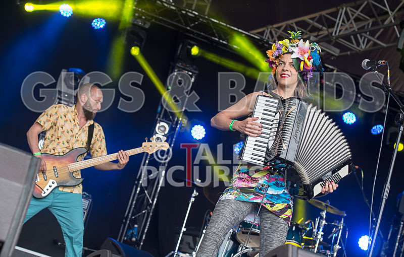 Molotov Jukebox-32 - MOLOTOV JUKEBOX