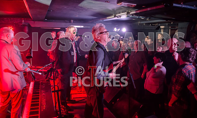 The Blockheads-83 - THE BLOCKHEADS