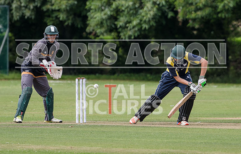 Cricket_Wanderers vs Griffins-24 - WANDERERS vs GRIFFINS