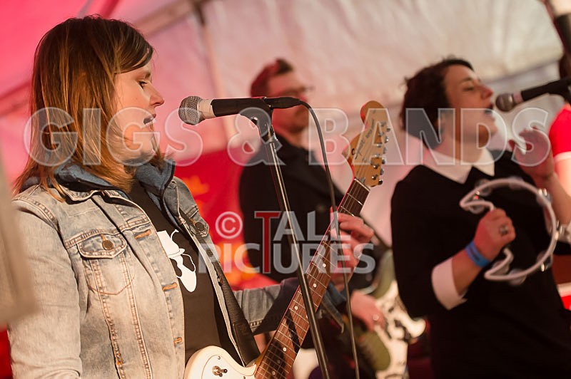 Swallows-20 - SWALLOWS