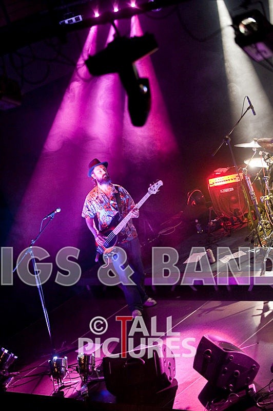 Peppered Ant Legs-46 - PEPPERED ANT LEGS at RoA-3