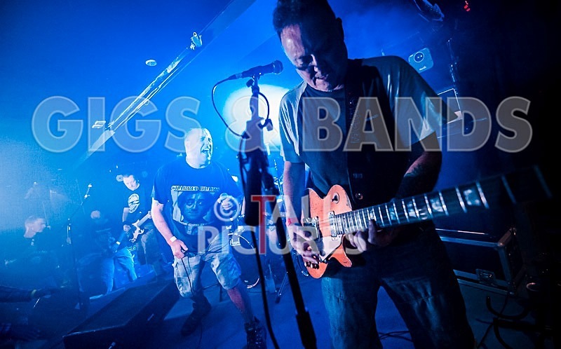 Peter and the Test Tube Babies-19 - PETER AND THE TEST TUBE BABIES