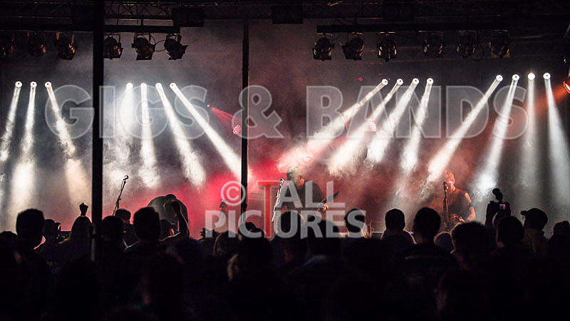 Demise of Sanity-137 - DEMISE OF SANITY