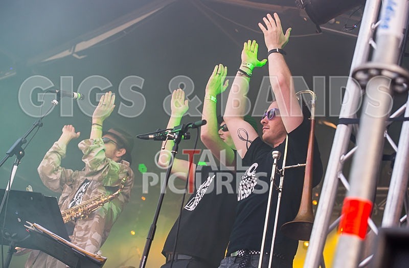 Sons of the Desert-211 - SONS OF THE DESERT