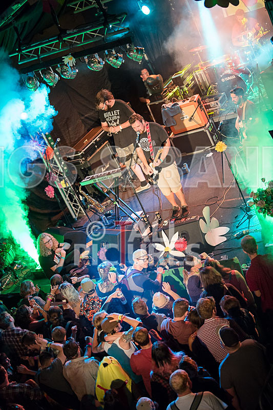 Vale Earth Fair 2017_PRESS EDIT-30 - VALE EARTH FAIR 2017_THE PRESS EDIT