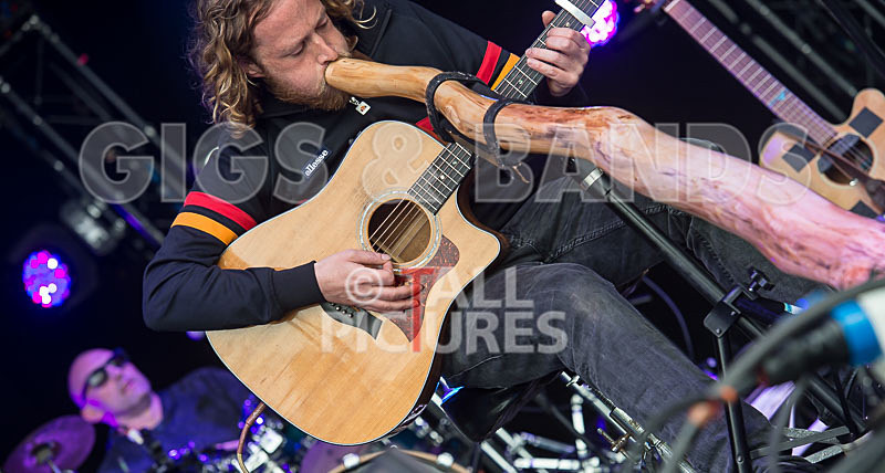 Buffalo Huddleston-377 - BUFFALO HUDDLESTON