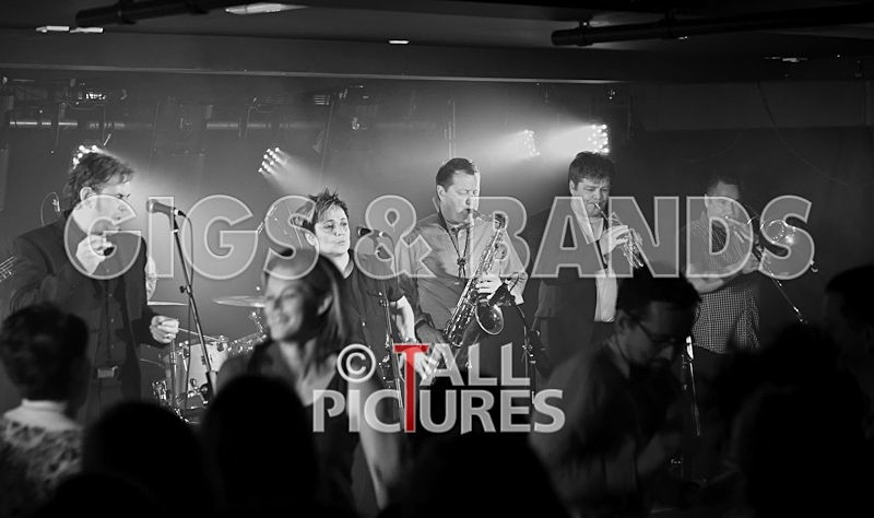 King Rat and the Soul Cats-54 - KING RAT & THE SOUL CATS