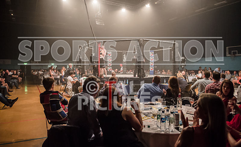 Lock-In 2014_The Atmosphere-7 - LOCK-IN 2014_THE ATMOSPHERE