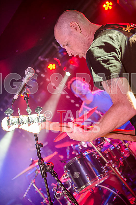 FalenizzaHorsepower-122 - FALENIZZAHORSEPOWER