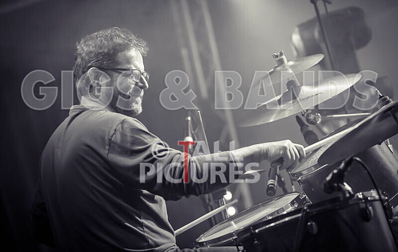 The Vinyls-4 - THE VINYLS