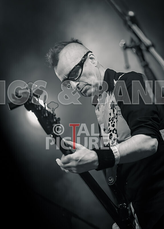 The Risk-434 - THE RISK