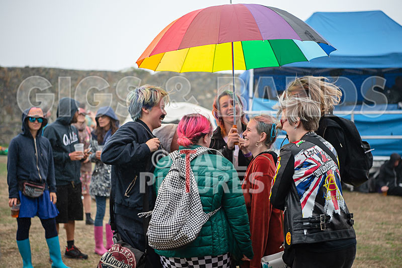 Vale Earth Fair 2018_SCENE-18 - VALE EARTH FAIR 2018_THE SCENE