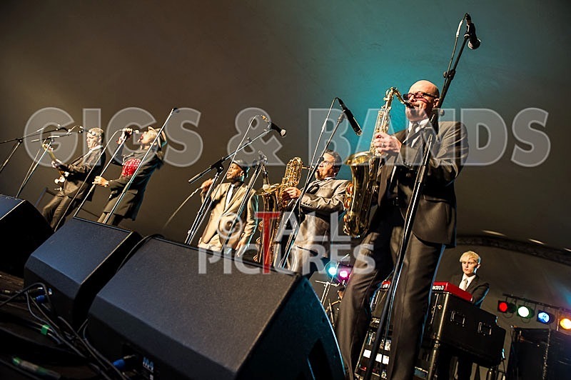 The Selecter-8 - THE SELECTER