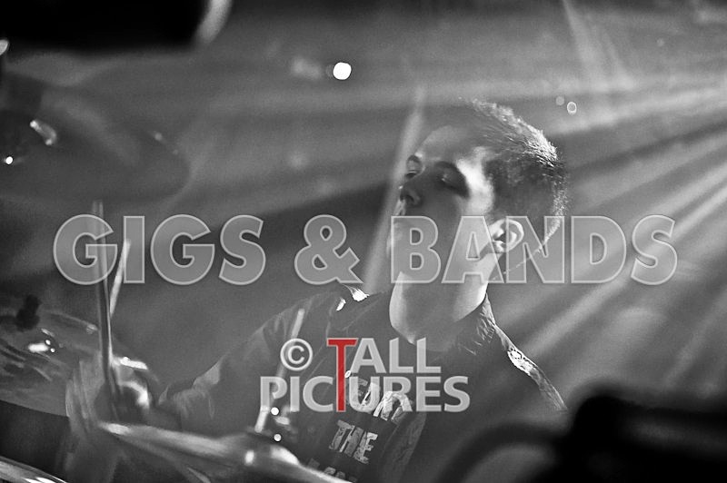 Feedback-29 - FEEDBACK at RoA-7