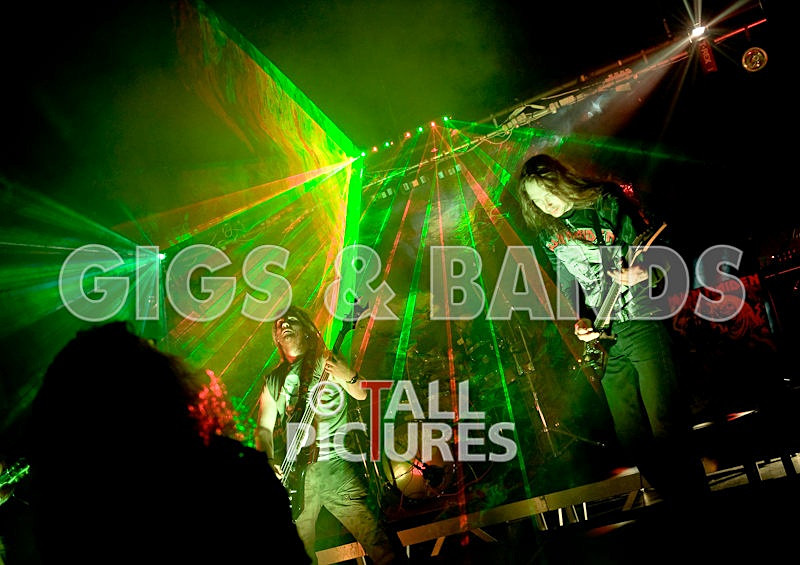 Maiden Guernsey-40 - MAIDEN GUERNSEY at RoA-2