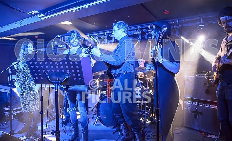 Bill Adlard the Blues Kings-42 - BILL ADLARD & THE BLUES KINGS