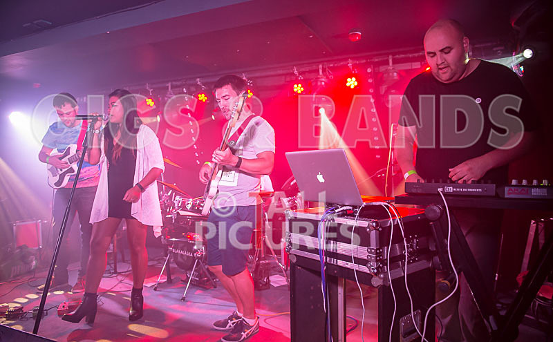 BLAKALASKA-135 - BLAKALASKA