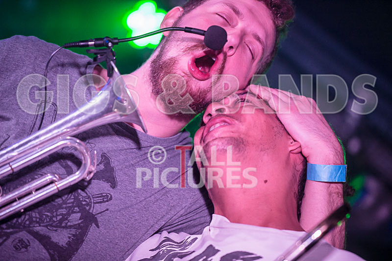 Killamonjambo-19 - KILLAMONJAMBO