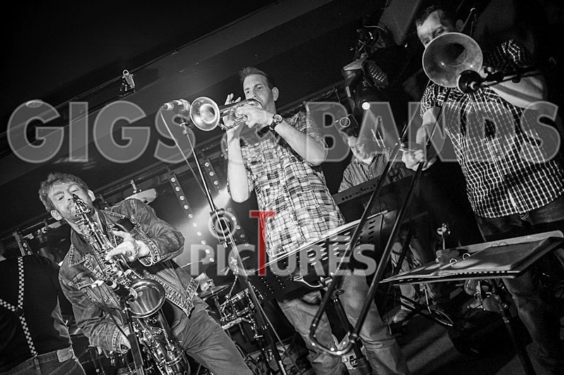 Sons of the Desert-75 - SONS OF THE DESERT