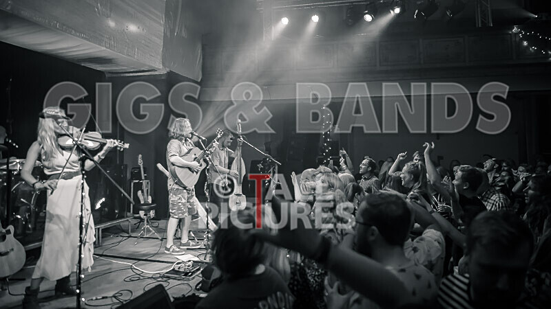 Buffalo Huddleston-534 - BUFFALO HUDDLESTON