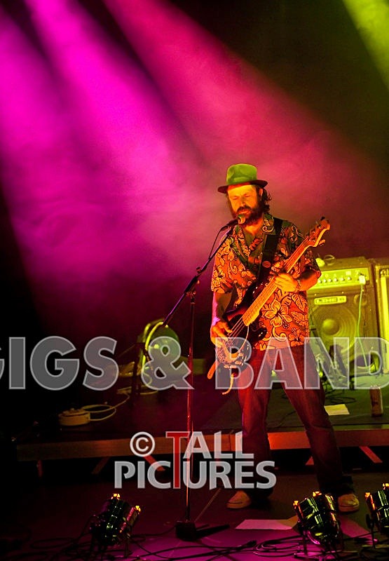 Peppered Ant Legs-38 - PEPPERED ANT LEGS at RoA-3