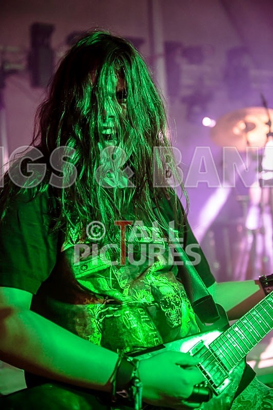 Stone Em All-98 - STONE EM ALL