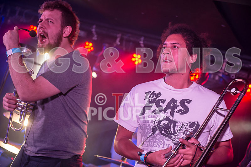 Killamonjambo-12 - KILLAMONJAMBO