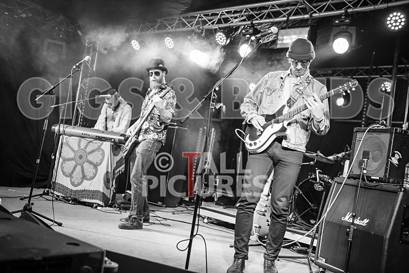 Surfin Birds-48 - SURFIN' BIRDS