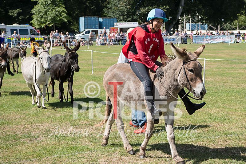 Donkey Derby_2016-10 - LIONS CLUB DONKEY DERBY 2016