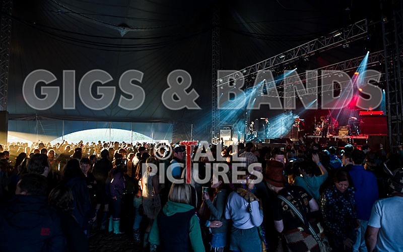 The Charlatans-21 - THE CHARLATANS