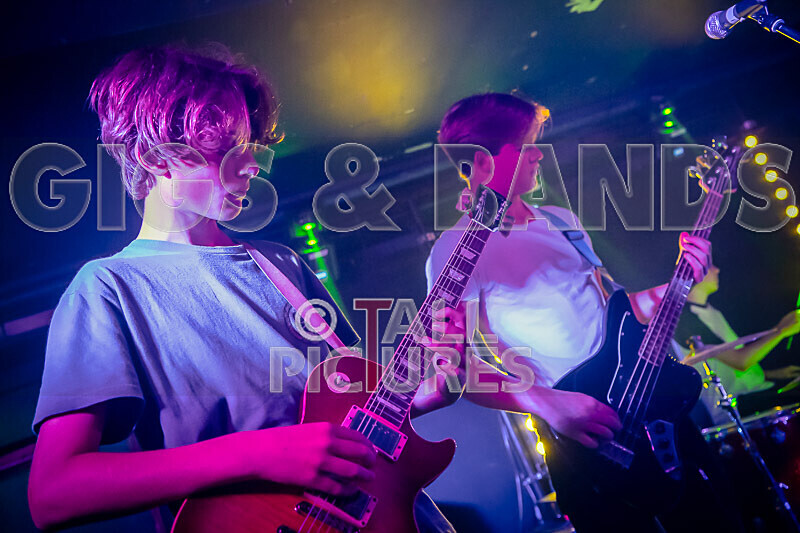 Bad Flower-25 - BAD FLOWER