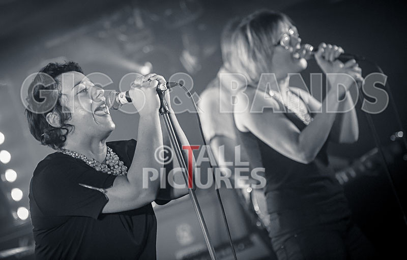 Ray and the Guns-74 - RAY AND THE GUNS