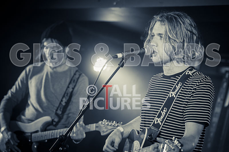 Tadhg Daly-91 - TADHG DALY