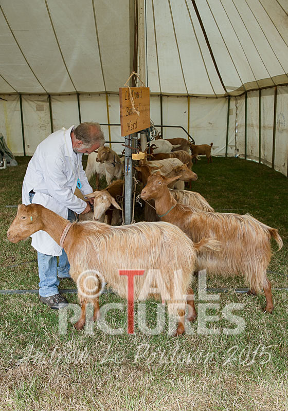 West Show_2014-18 - THE WEST SHOW 2014