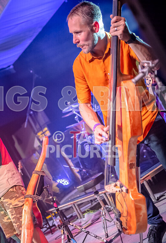 Buffalo Huddleston-622 - BUFFALO HUDDLESTON