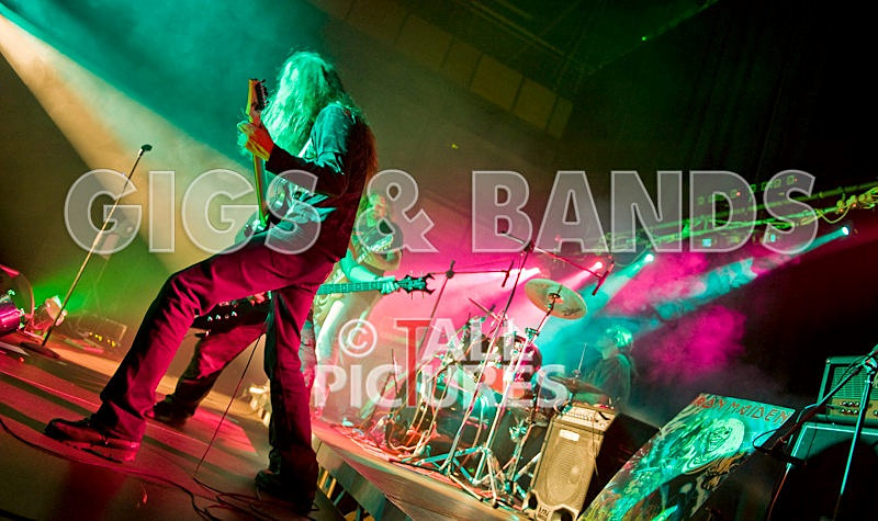 Maiden Guernsey-45 - MAIDEN GUERNSEY at RoA-2