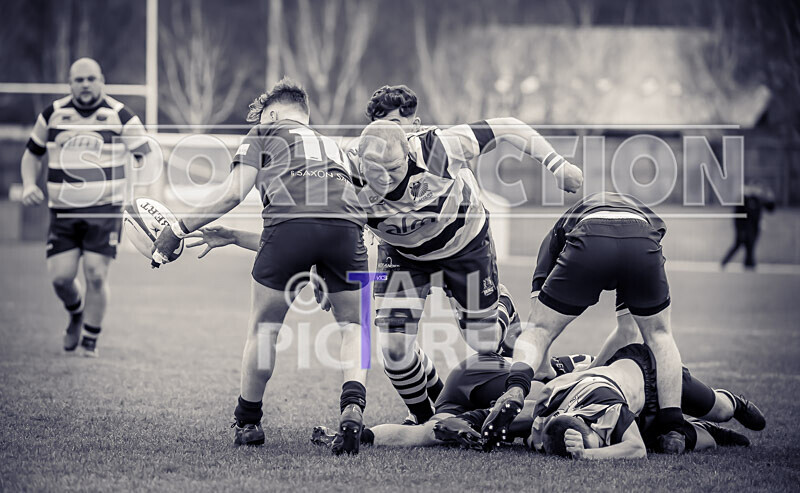 St Jacques Vikings v Andover RFC-41 - ST JACQUES VIKINGS v ANDOVER RFC